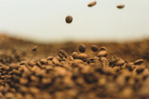 Tetsu Kasuya's Hario V60 Coffee Dripper: Beginner's Guide